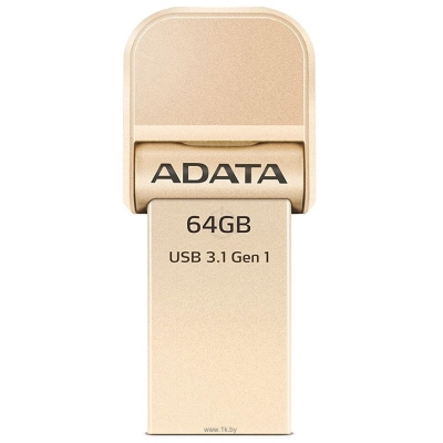 ADATA AI920 64GB (AAI920-64G-CGD)