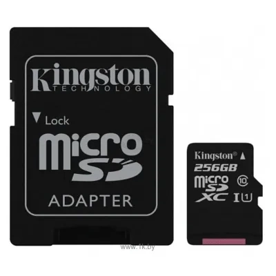 Kingston Canvas Select microSDXC Class 10 UHS-I U1 256GB + SD adapter (SDCS/256GB)