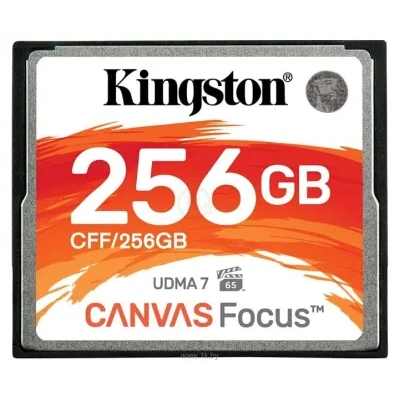 Kingston CFF/256GB