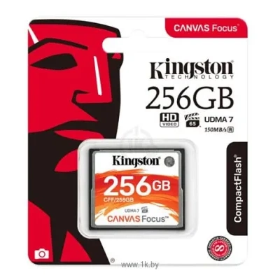 Kingston CFF/256GB