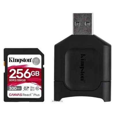 Kingston MLPR2/256GB