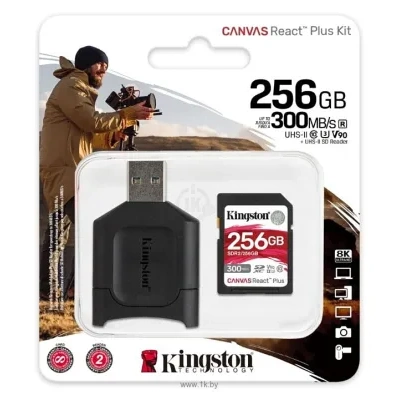 Kingston MLPR2/256GB