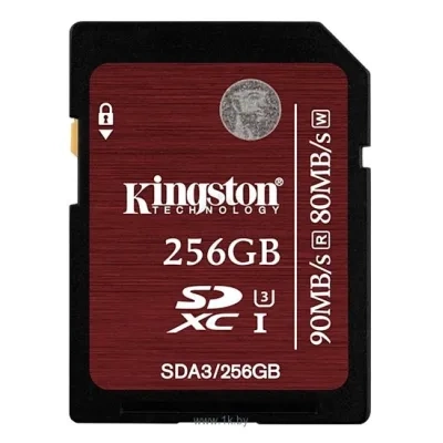 Kingston SDA3/256GB