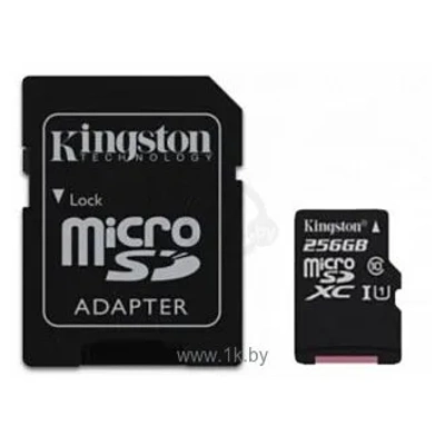 Kingston SDC10G2/256GB