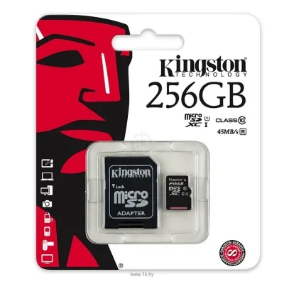 Kingston SDC10G2/256GB