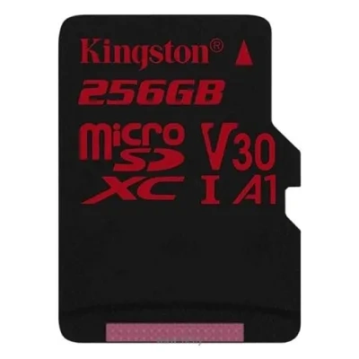 Kingston SDCR/256GB