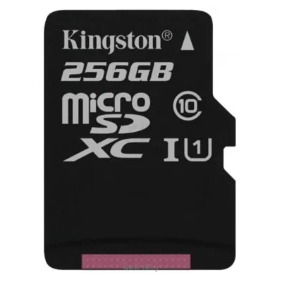 Kingston SDCS/256GBSP