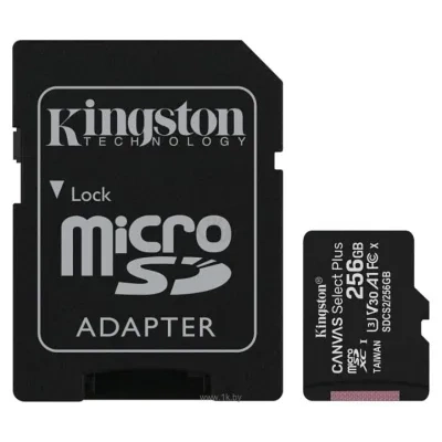 Kingston SDCS2/256GB