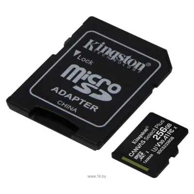 Kingston SDCS2/256GB