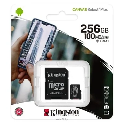 Kingston SDCS2/256GB