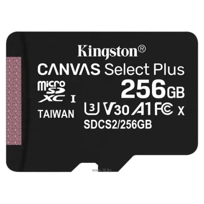 Kingston SDCS2/256GBSP