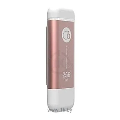 Adam Elements iKlips 256GB