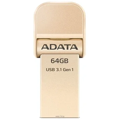 ADATA AI920 64GB (AAI920-64G-CGD)