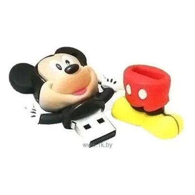 ANYline MICKEY 16GB